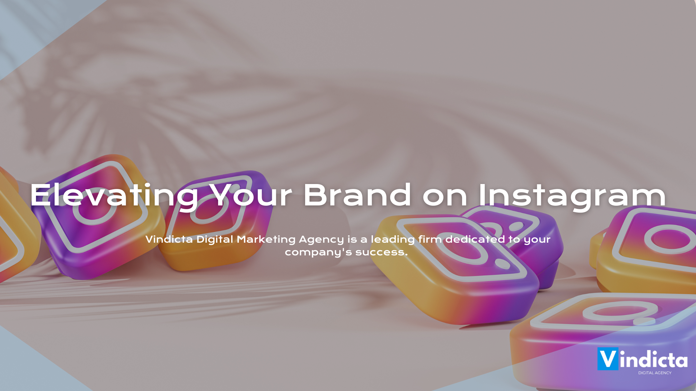 Elevating Your Brand on Instagram: A Guide to Instagram Management