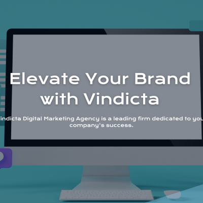 Elevate Your Brand with Vindicta, Your Website Design Agency